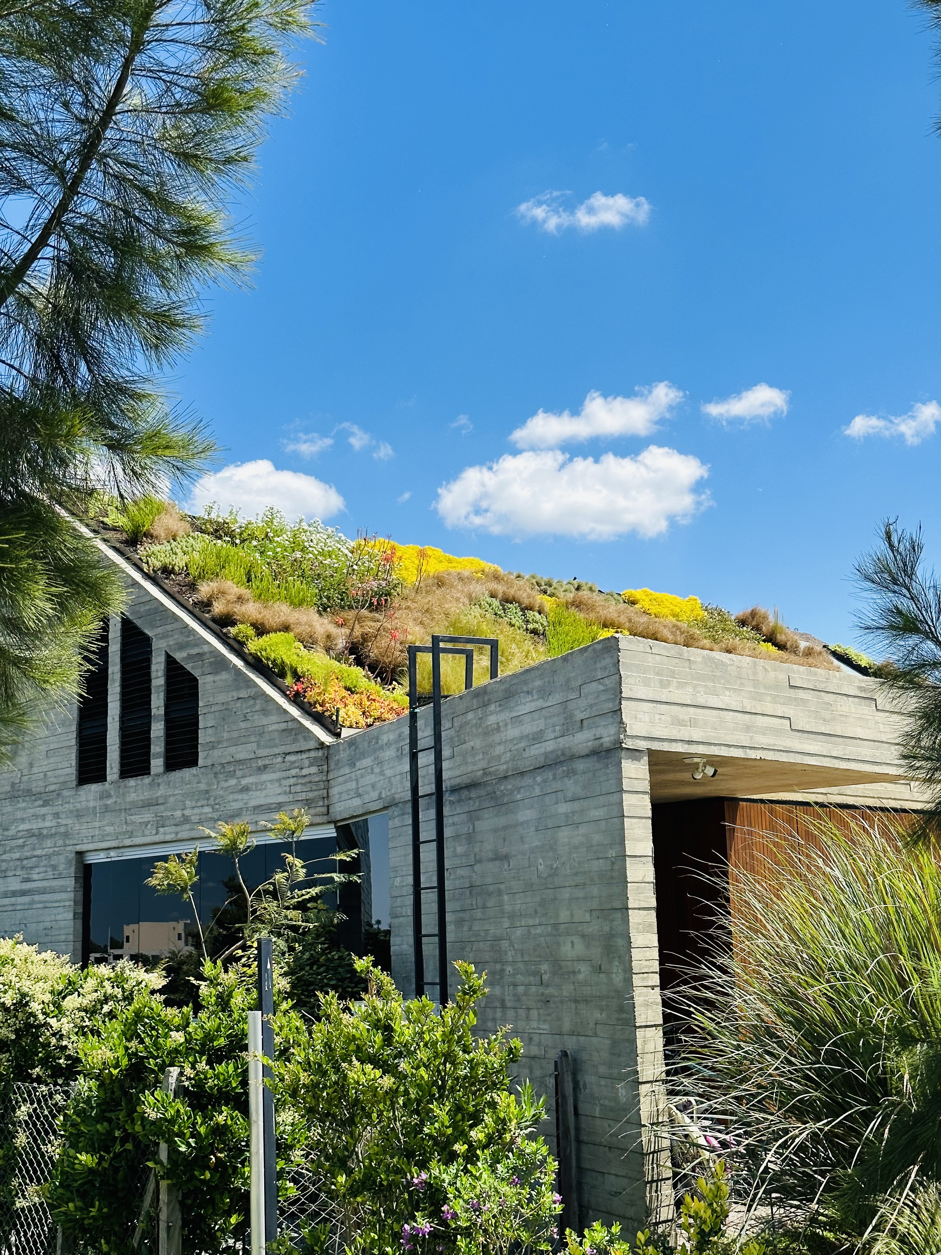 Obra Techo inclinado